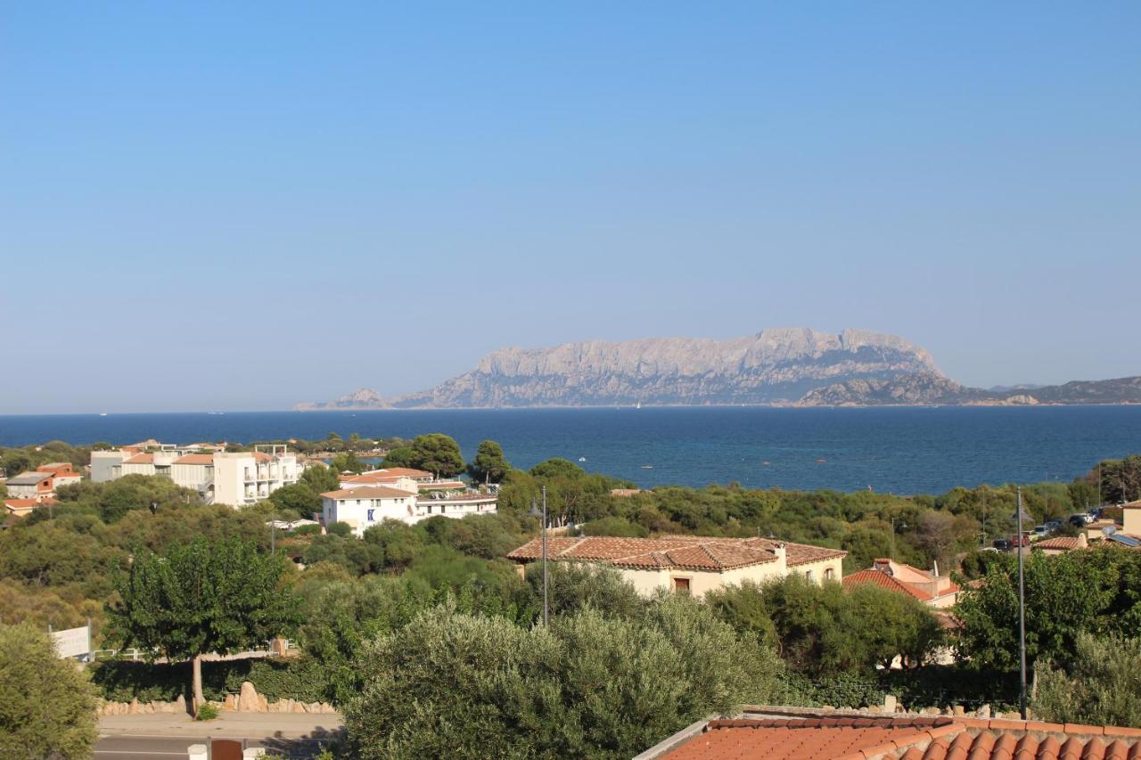 La Conchiglia Villa Olbia Exteriör bild